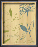 Harmony