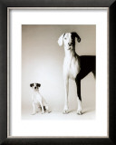 Domino and Daisy