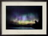 Aurora Bori