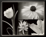 Summer Garden I