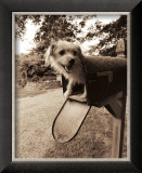 You've Got Mail