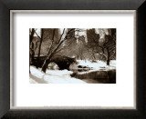 Buy Central Park, Bridge at AllPosters.com
