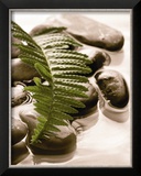 Buy Spring Retreat I at AllPosters.com