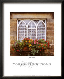 Buy Yorkshire Blooms at AllPosters.com