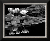 Reflections on Water