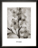 Buy Glass Petals at AllPosters.com