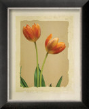 Buy Tangerine Tulips I at AllPosters.com