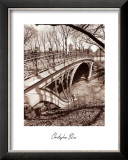 Central Park Bridge III