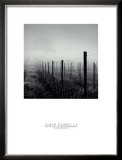 Buy Vineyard at AllPosters.com