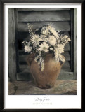 Buy Daisy Mix at AllPosters.com
