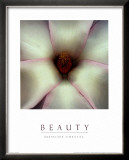 Buy Beauty at AllPosters.com