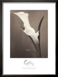 Buy Callas at AllPosters.com