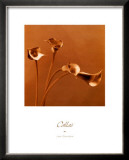 Buy Callas at AllPosters.com