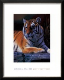 Buy Bengal Tiger at AllPosters.com