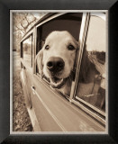 Are we there Yet?