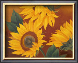 Buy Sunflowers II at AllPosters.com