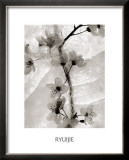 Buy Cherry Blossoms in Winter at AllPosters.com