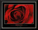 Buy Quality at AllPosters.com