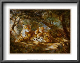 Leopard with Cub