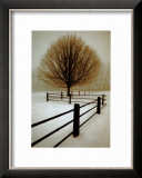 Buy Solitude at AllPosters.com
