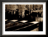 Buy Punts on the River Cam, Cambridge at AllPosters.com