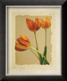 Buy Tangerine Tulips II at AllPosters.com