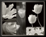 Summer Garden II