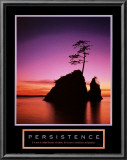 Buy Persistence: Sunset at AllPosters.com