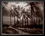 Buy Place of Refuge IV at AllPosters.com