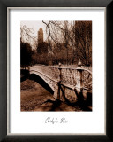 Central Park Bridge II