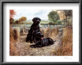 Buy Change of Seasons at AllPosters.com