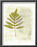 Buy Breathe at AllPosters.com