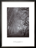 Buy Cherry Blossoms at AllPosters.com