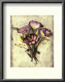 Lisianthus