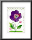 African Violet