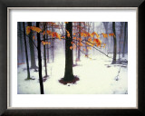 Buy Quiet Woods at AllPosters.com