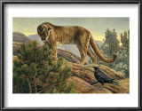 Buy Curiosity at AllPosters.com