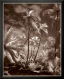 Place of Refuge II