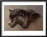 Buy Shadow Hunter at AllPosters.com