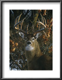 Buy An Autumn Gentleman at AllPosters.com