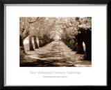 Buy Near Midsummer Common, Cambridge at AllPosters.com
