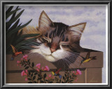 Buy Rocky Selland at AllPosters.com