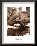 Central Park Bridge IV