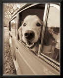 Are We There Yet