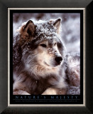 Buy Timber Wolf at AllPosters.com
