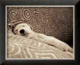 Buy Dog Tired at AllPosters.com