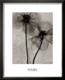 Buy Facing the Sun at AllPosters.com