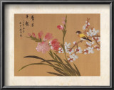 Buy Peony Blossom II at AllPosters.com