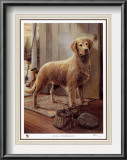 Loyal Companion