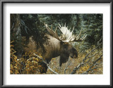 Buy Calm Before the Challenge at AllPosters.com
